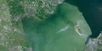 ‘Dood slibrijk’ water in het Markermeer blijkt vol leven