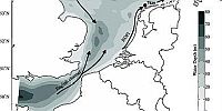 Meer zicht op oorzaak voedselschaarste in Nederlandse wateren en Noordzee