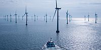 Natuur- en milieuorganisaties maken contra-expertise over Windturbines in het IJsselmeer